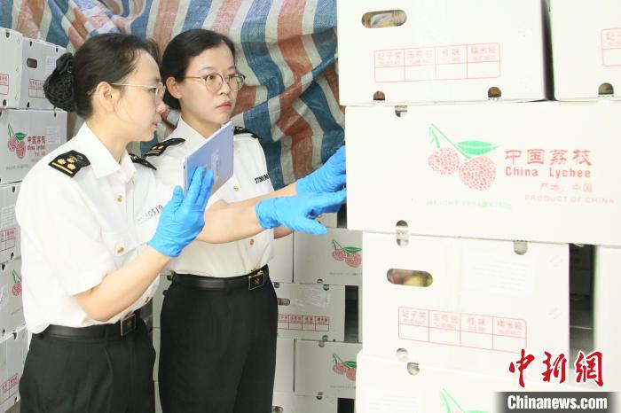 福建本土荔枝出口季正式开启 (https://www.olegood.com/) 生肖解读 第2张