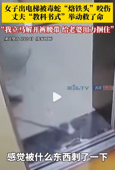 震惊！女子电梯口被蛇咬 老公教科书式操作 竟是“烙铁头”，当事人半个月后伤口仍肿胀未愈！！ (https://www.olegood.com/) lede 第1张